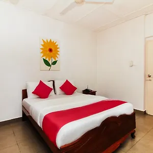 https://sea-view-apartment-hotel-colombo.negombohotels.net